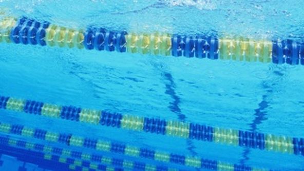 Plavání 2024, Plavání