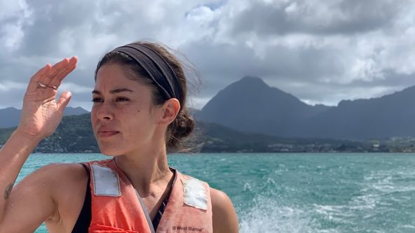 Havajská žraločí záhada