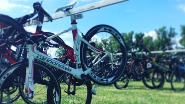 Winterman 2024, Triatlon