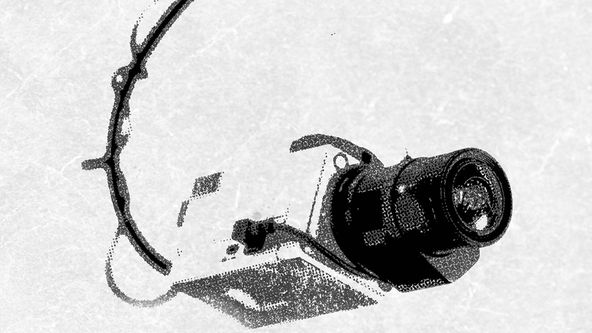 Virální zločiny II (6)