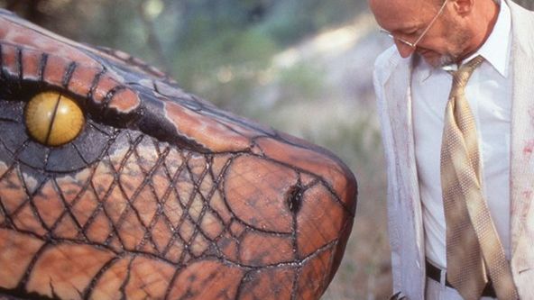 Megakrajta versus Gatoroid