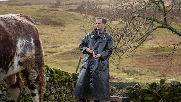 Všechny velké a malé bytosti