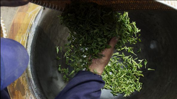 Kamera na cestách: Jeden šálek, tisíc příběhů