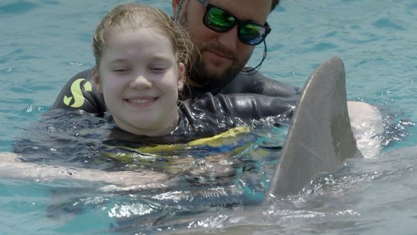 Delfíni v roli terapeutů