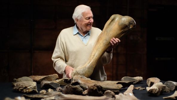 Attenborough a pohřebiště mamutů