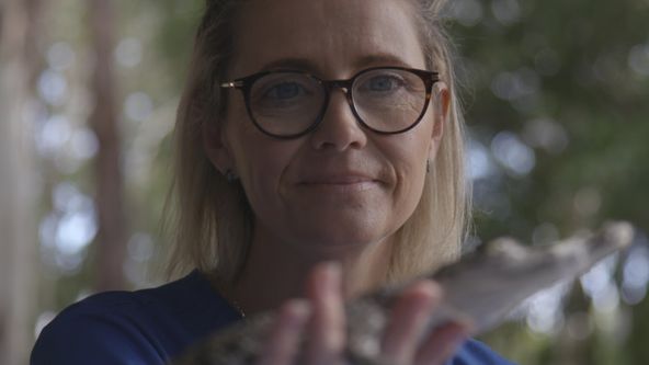 Záchranáři divokých zvířat: Austrálie (6)