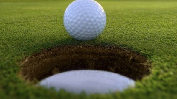 Golfista roku 2024, Golf