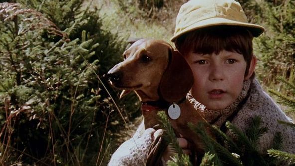 Na pytlácké stezce