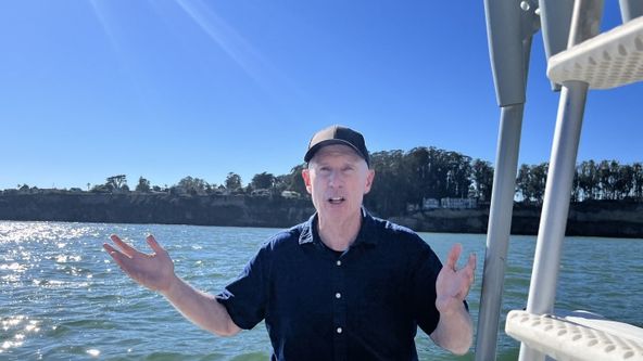 Kdy a proč žraloci útočí (5)