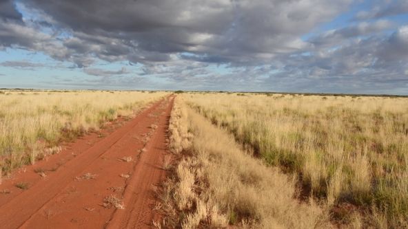 Austrálie, země prastarých tvorů