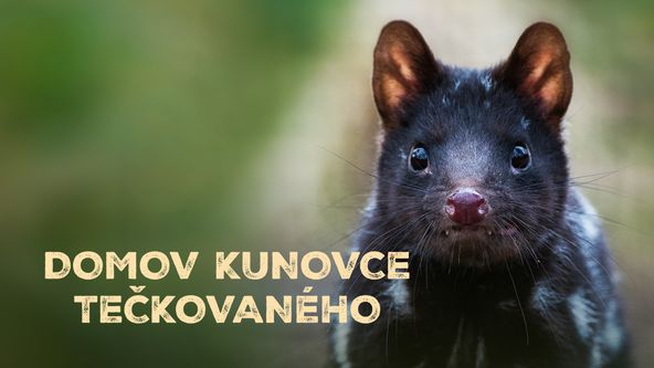 Domov kunovce tečkovaného