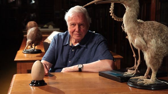 Přírodní kuriozity Davida Attenborougha IV (1)