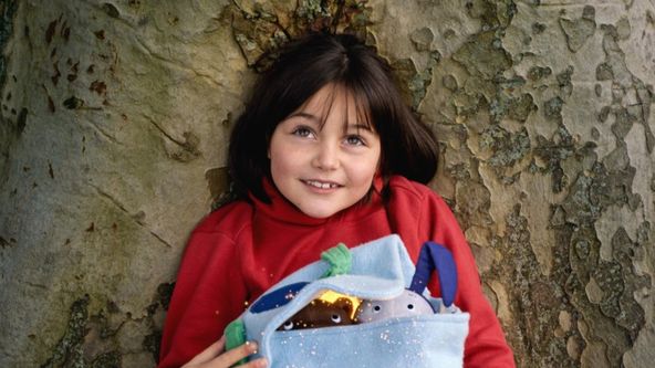 Lauřina hvězdička