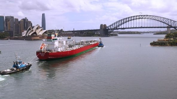 Bezpečnostní jednotky přístavu Sydney (8)
