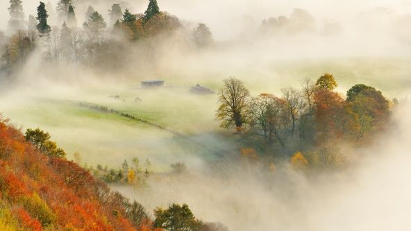 Skotsko - nová divočina (1)