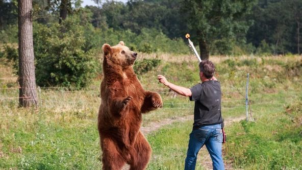 Zoltan, vlčí muž (1)