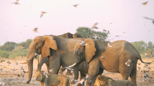 Dokonalí protivníci