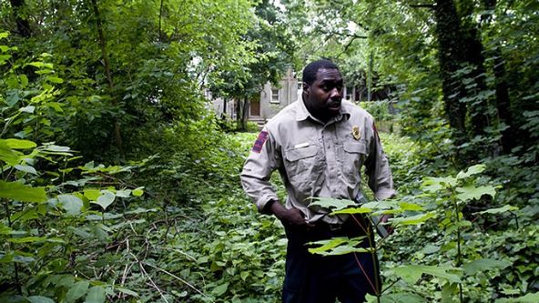 Veterinární policie Filadelfie XII (8)