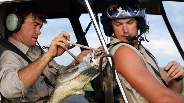 Australský kovboj IV (6)