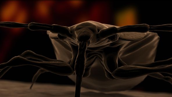 Nestvůry ve mně VI (3/4)