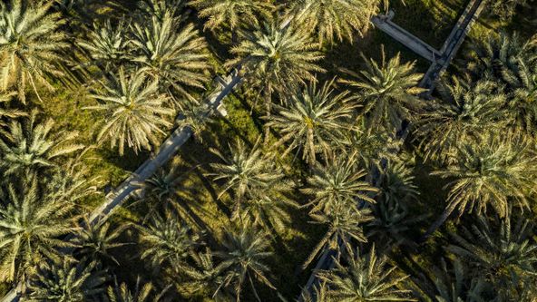 Spojené arabské emiráty z výšky