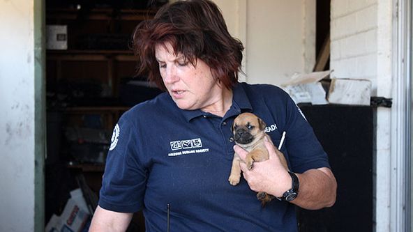 Veterinární policie Phoenix XV (1)