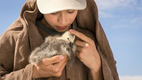 Rozprostři křídla