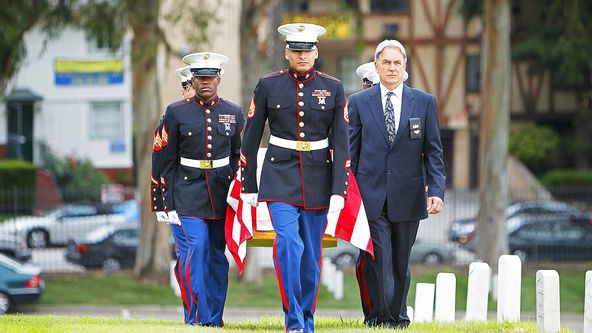 Námořní vyšetřovací služba VIII (24)