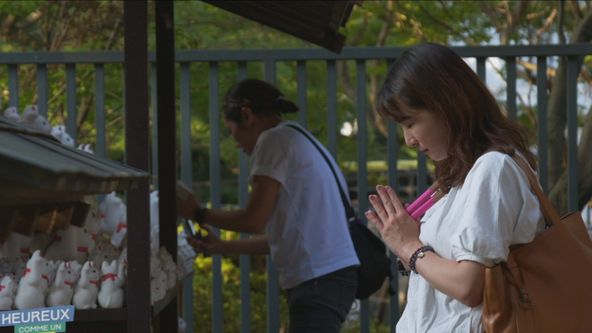 Šťastný jako kočka