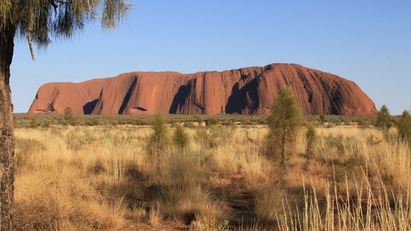 Divoká Austrálie: Klokaní království