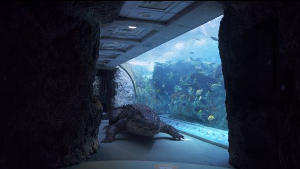Aquarium of the Dead