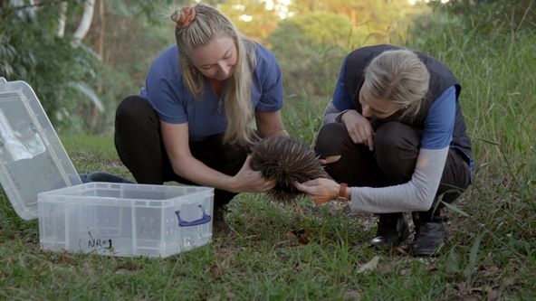 Záchranáři divokých zvířat: Austrálie (6)