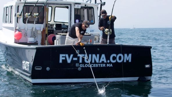 Prokletí tuňáci XII (14)