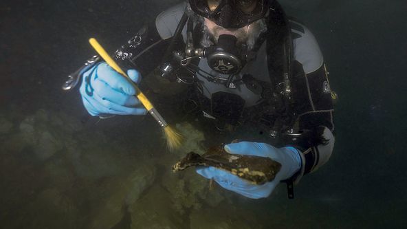 Příběh šesti světadílů (6)