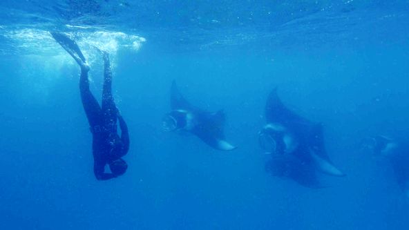 Měnící se planeta (1/2)