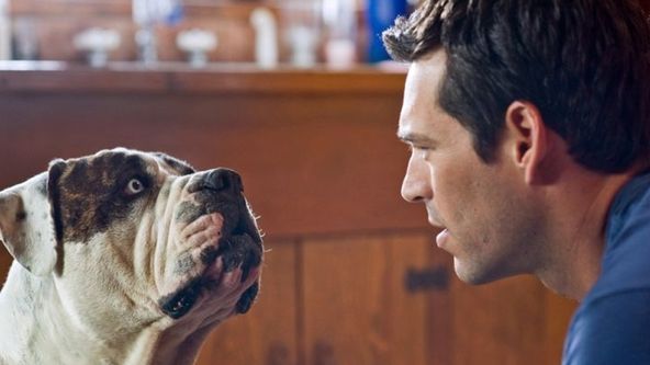 Nora Roberts: Polární záře