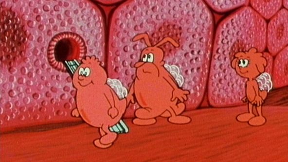 Byl jednou jeden život