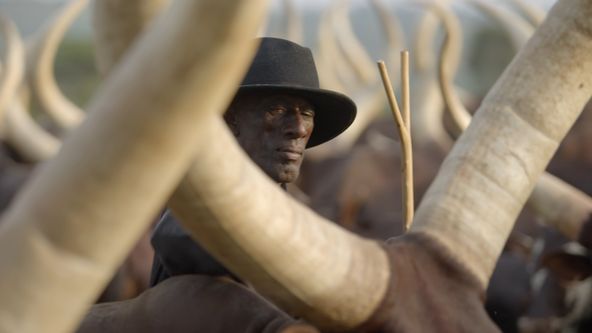 Afrika z výšky (8)