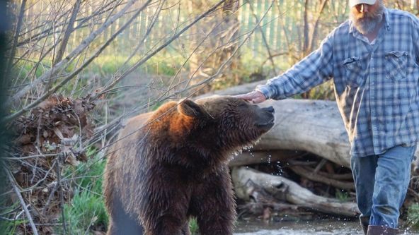 Projekt Grizzly (4)