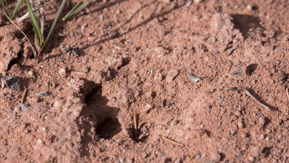 Divoká Čína s Rayem Mearsem (1)