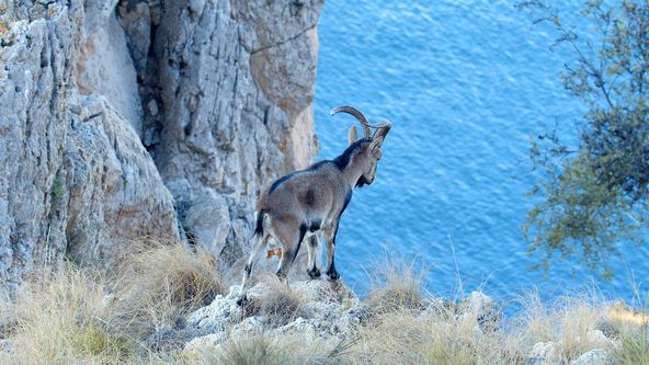 Divoké Středomoří (2)