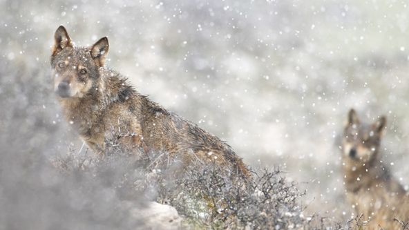 Divoké Středomoří (2)