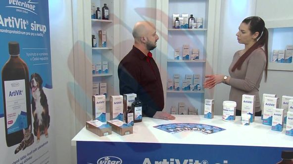 Tipy ptáka Loskutáka