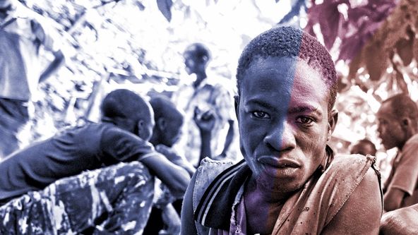 Ve stínu kakaovníku