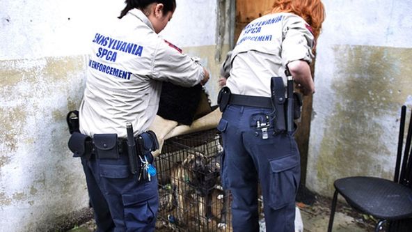 Veterinární policie Filadelfie XII (14)