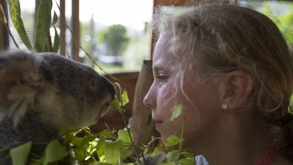 Hrdinové z The Dodo II (3)