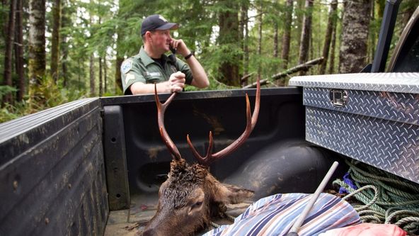 Drsná spravedlnost II (5)