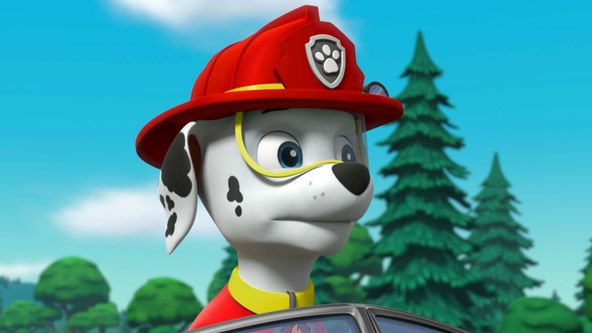 Tlapková patrola IV