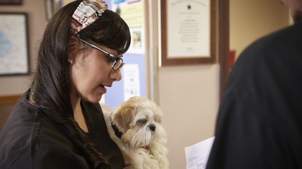 Dr. Jeff: Veterinář ze Skalnatých hor (6)