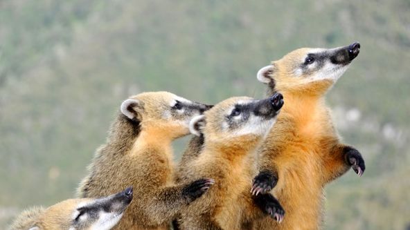 Roční období na planetě Zemi (2)